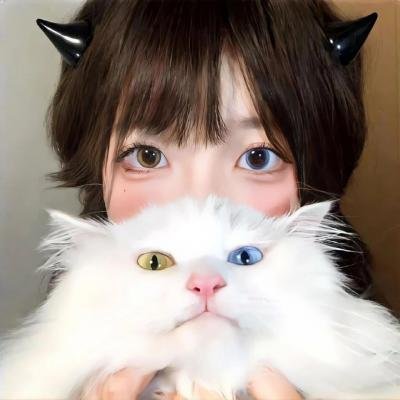 寻枪